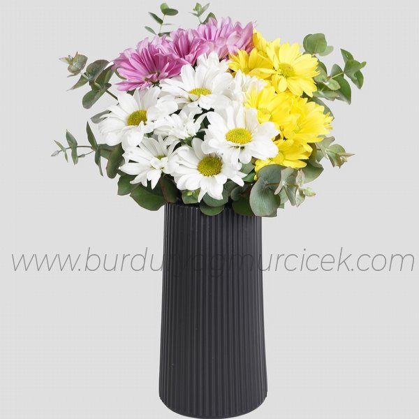 vazoda renkli papatya